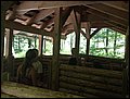 IMG_2174.JPG