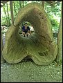 IMG_2176.JPG