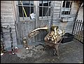 DSC06088.JPG