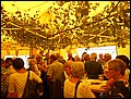 SNF (133).JPG