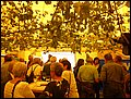 SNF (135).JPG