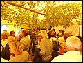 SNF (137).JPG