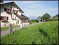 DSC07647.JPG