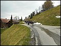 Maiblasen (10).JPG
