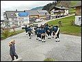 Maiblasen (35).JPG