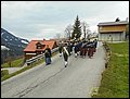 Maiblasen (7).JPG