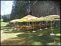 DSC07718.JPG