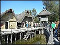 DSCN2725.JPG