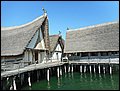 DSCN2727.JPG