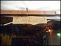 SNF (47).JPG