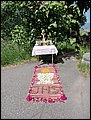 DSC08366.JPG
