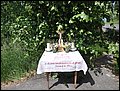 DSC08367.JPG