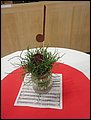 DSC09210.JPG