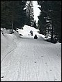 IMG_6942.JPG
