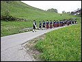 DSC08032.JPG